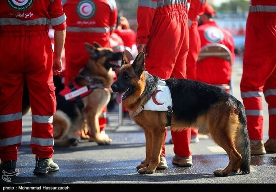 رزمایش نیروهای جمعیت هلال احمر اعزامی به مراسم اربعین حسینی