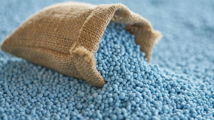 یک میلیون تن کود برای باغات کشور نیاز است