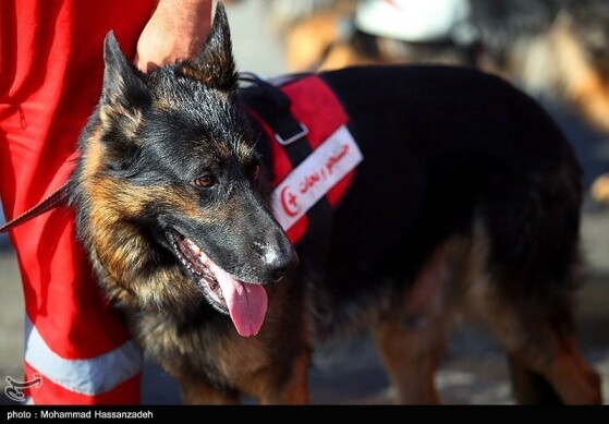 رزمایش نیروهای جمعیت هلال احمر اعزامی به مراسم اربعین حسینی