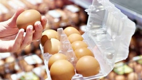 قیمت خرید حمایتی تخم مرغ اعلام شد