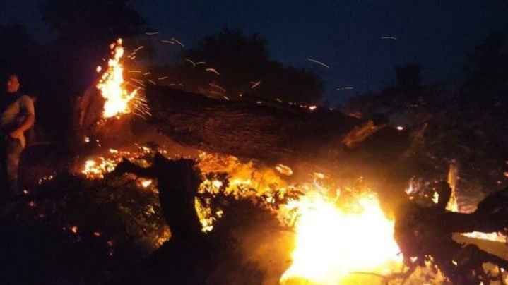 مهار آتش‌سوزی لکه‌ای در ۲ عرصه طبیعی شهرستان کلاردشت