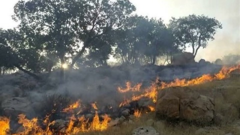 آتش‌سوزی ۱۰۷ هکتار از عرصه‌های ملی گلستان