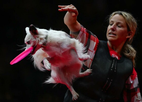 ادمونتون، کانادا