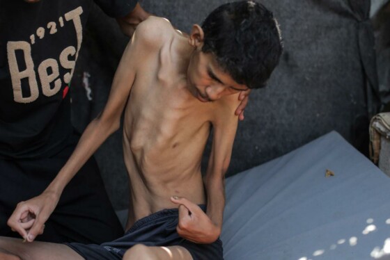 دیر البلح، غزه