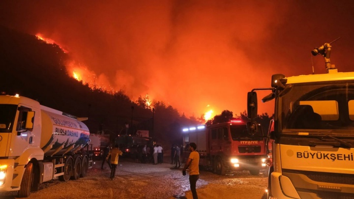 آتش در دل بورسا؛ وقتی جنگل‌ها می‌سوزند و خاطره‌ها خاکستر می‌شوند