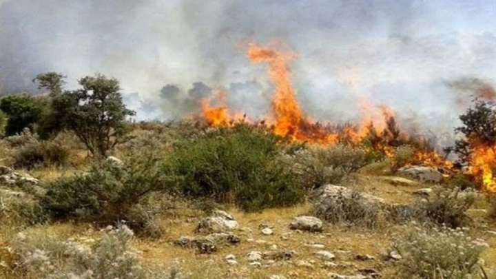 شناسایی عوامل آتش‌سوزی آبیدر سنندج/ ۳ جوان «فداکاران خدمت» می‌شوند