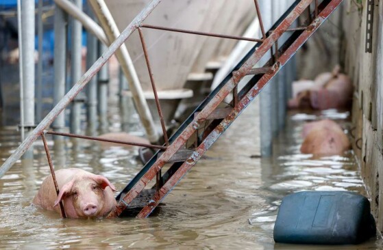 چیایی، تایوان