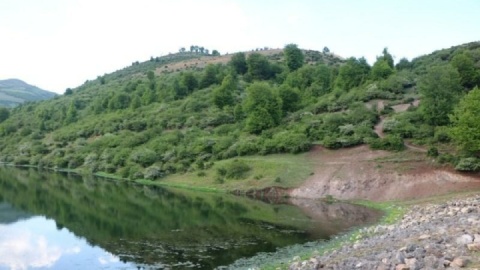 پیکر پیرمرد گمشده ۷۸ ساله در جنگلهای کجور پیدا شد