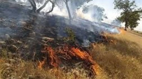 هجوم آتش به جنگل عرب‌داغ کلاله مهار شد