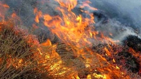 آتشسوزی کوه سیاه لنده کهگیلویه و بویراحمد تحت کنترل است