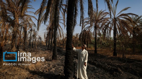 گزارش تصویری/ صبحانه هشتم مرداد