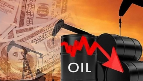 قیمت نفت کاهش یافت