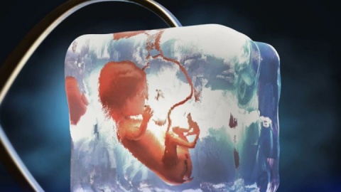 روش فریز کردن جنین چگونه است؟