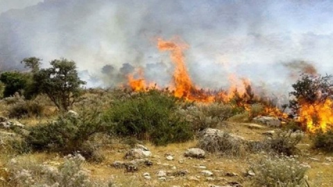 اطفای حریق در ۳۰ هکتار عرصه جنگلی نور