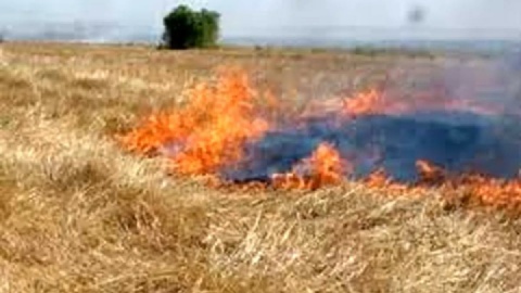 مهار حریق در گیسکان استان بوشهر همچنان ادامه دارد