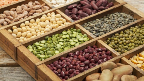 قیمت حبوبات پایان مرداد کاهشی می شود