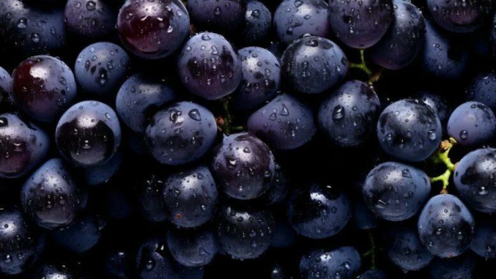 انگور؛ فراتر از یک میوه/ تاثیر شگفت‌انگیز بر تغییر بیان ژن‌ها