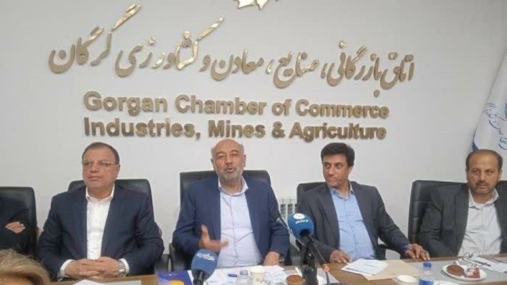 حل مشکلات دولت و بخش خصوصی، به کارگروه تخصصی نیاز دارد