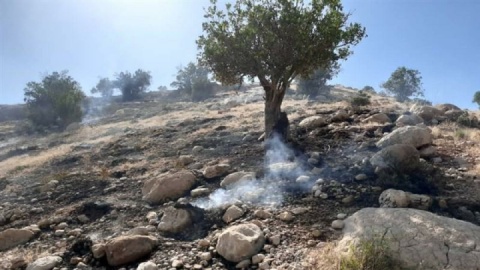 آتشسوزی کوه سیاه مهار شد