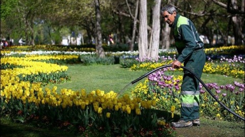 شهرداری ها آب شرب را از آبیاری فضای سبز تفکیک کنند