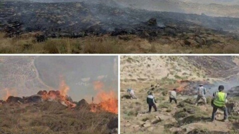 آتش‌‌سوزی در مراتع دشت لار مهار شد