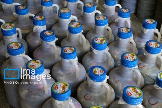 روستای «زوارم»؛ قطب تولید سنتی خیارشور