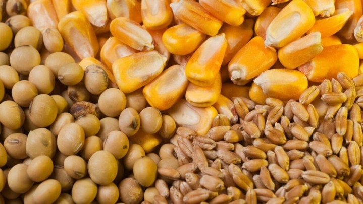 توزیع ۱۴۰ هزار تن نهاده دامی میان عشایر کشور