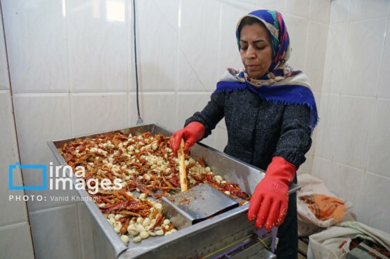 روستای «زوارم»؛ قطب تولید سنتی خیارشور
