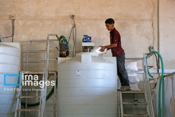 روستای «زوارم»؛ قطب تولید سنتی خیارشور