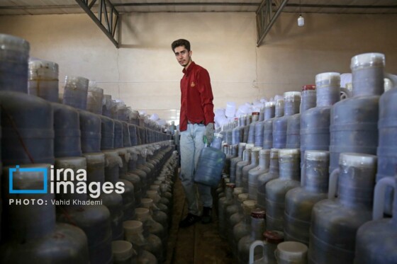 روستای «زوارم»؛ قطب تولید سنتی خیارشور