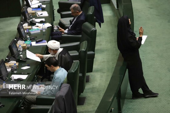 صحن علنی مجلس