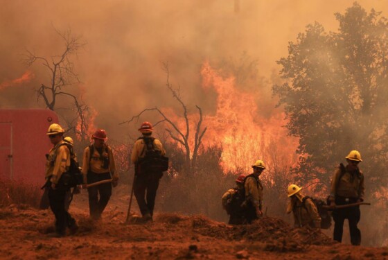 شعله‌های آتش در حالی که آتش‌نشانان در حال مبارزه با آتش‌سوزی گیفورد در دامنه‌های پوشیده از بوته‌زار غرب نیو کویاما، کالیفرنیا هستند، در ۴ آگوست ۲۰۲۵، بالا می‌گیرند.