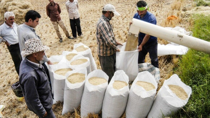 معادله ۱.۴ میلیون تنی برنج