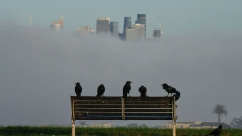 جهان در روزی که گذشت