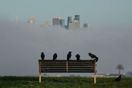 سیدنی، استرالیا