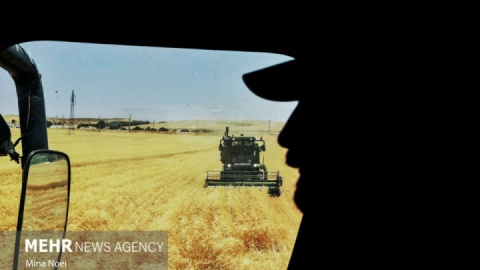 گزارش تصویری/ عصرانه چهاردهم مرداد