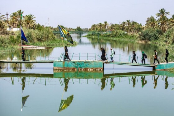 پیاده‌روی اربعین به سوی کربلای مقدس