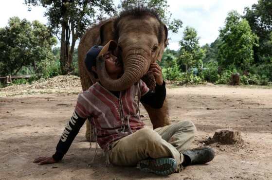 چیانگ مای، تایلند