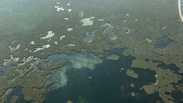 آتش‌سوزی در هورالعظیم عراق مهارناپذیر شده است