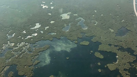 آتشسوزی در هورالعظیم عراق مهارناپذیر شده است