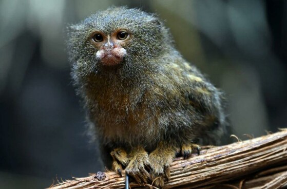 Ústí nad Labem، جمهوری چک