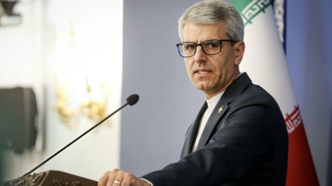 بقائی با سفرای هلند و ژاپن دیدار کرد