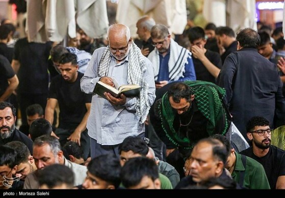 حرم مطهر حضرت علی (ع) در آستانه اربعین حسینی