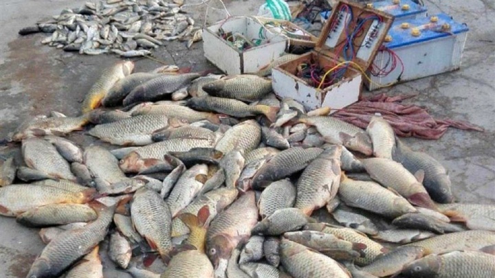 دستگیری صیادان غیرمجاز کرخه