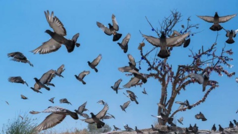 جهان در روزی که گذشت