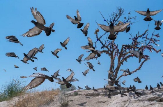 بوئنوس آیرس، آرژانتین