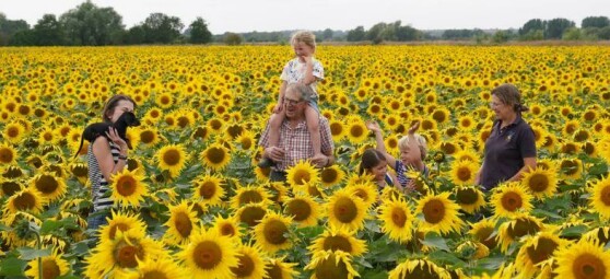 دیپینگ سنت نیکلاس، بریتانیا