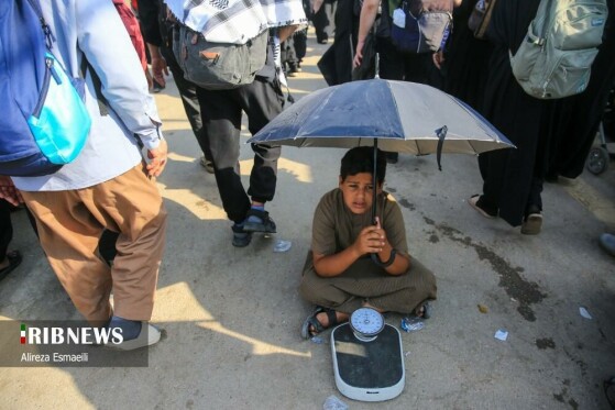 پیاده رویی اربعین نجف به کربلای معلی