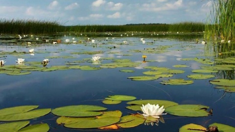 احتمال خشک‌شدن «هشیلان» تا ۲۰ روز دیگر/ تنها یک سوم «سراب نیلوفر» آب دارد