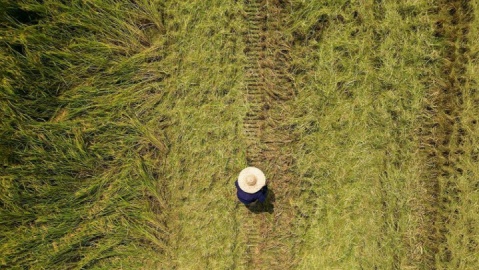 گزارش تصویری/ صبحانه هجدهم مرداد